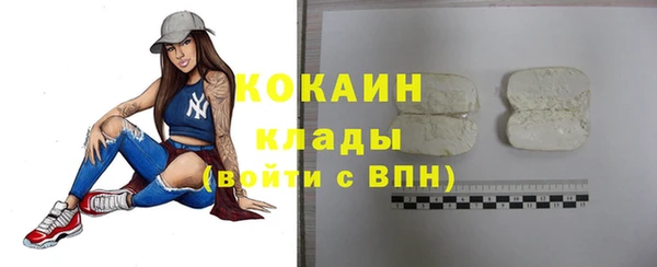 молекула духа Арсеньев
