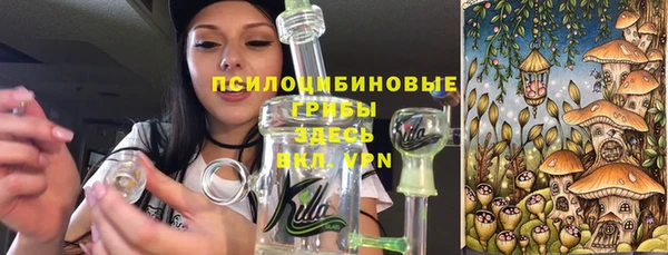 крисы Армянск