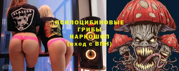 молекула духа Арсеньев