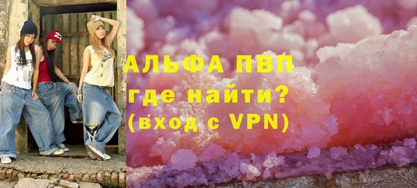 молекула духа Арсеньев