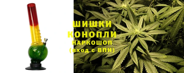 крисы Армянск