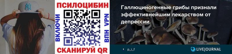 Галлюциногенные грибы Magic Shrooms  Купить закладки  Волчанск 