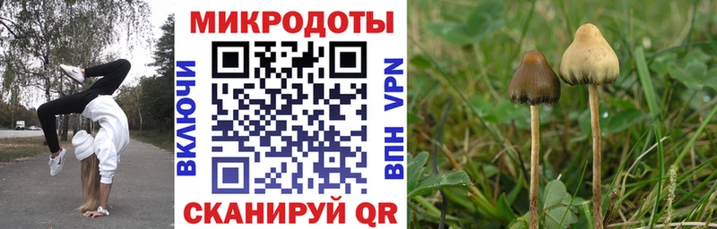 Галлюциногенные грибы Magic Shrooms Волчанск